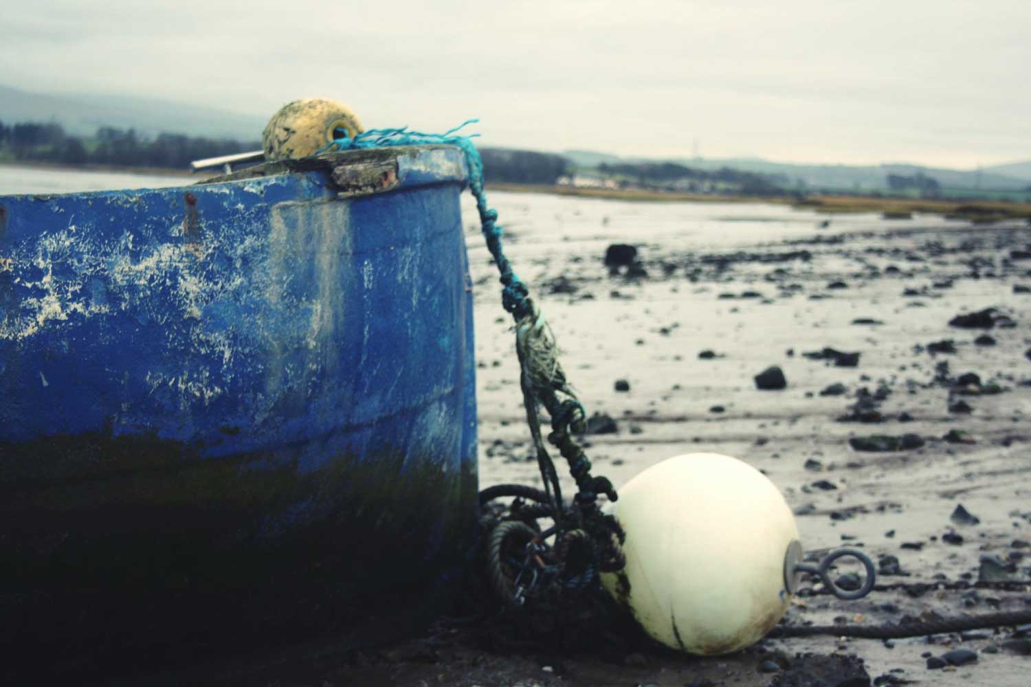 Customer support concept for Omega Shipping Agency answering common shipping and port agency questions