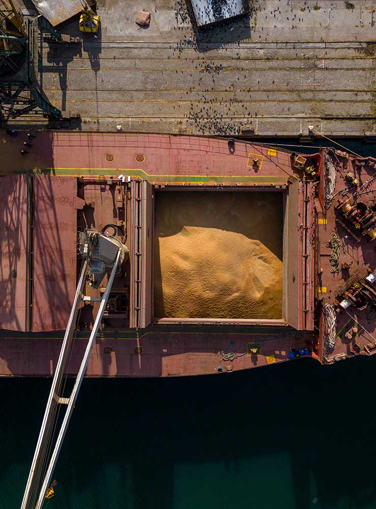 Customer support concept for Omega Shipping Agency answering common shipping and port agency questions