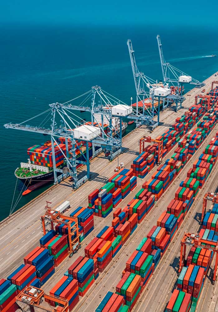 Maritime professionals demonstrating commitment and reliability in port agency roles for shipping clients