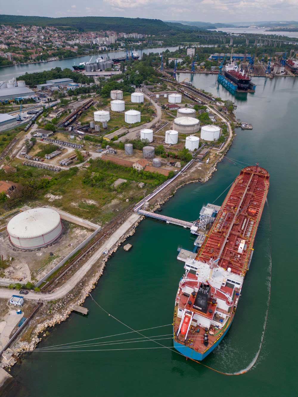 Customer support concept for Omega Shipping Agency answering common shipping and port agency questions