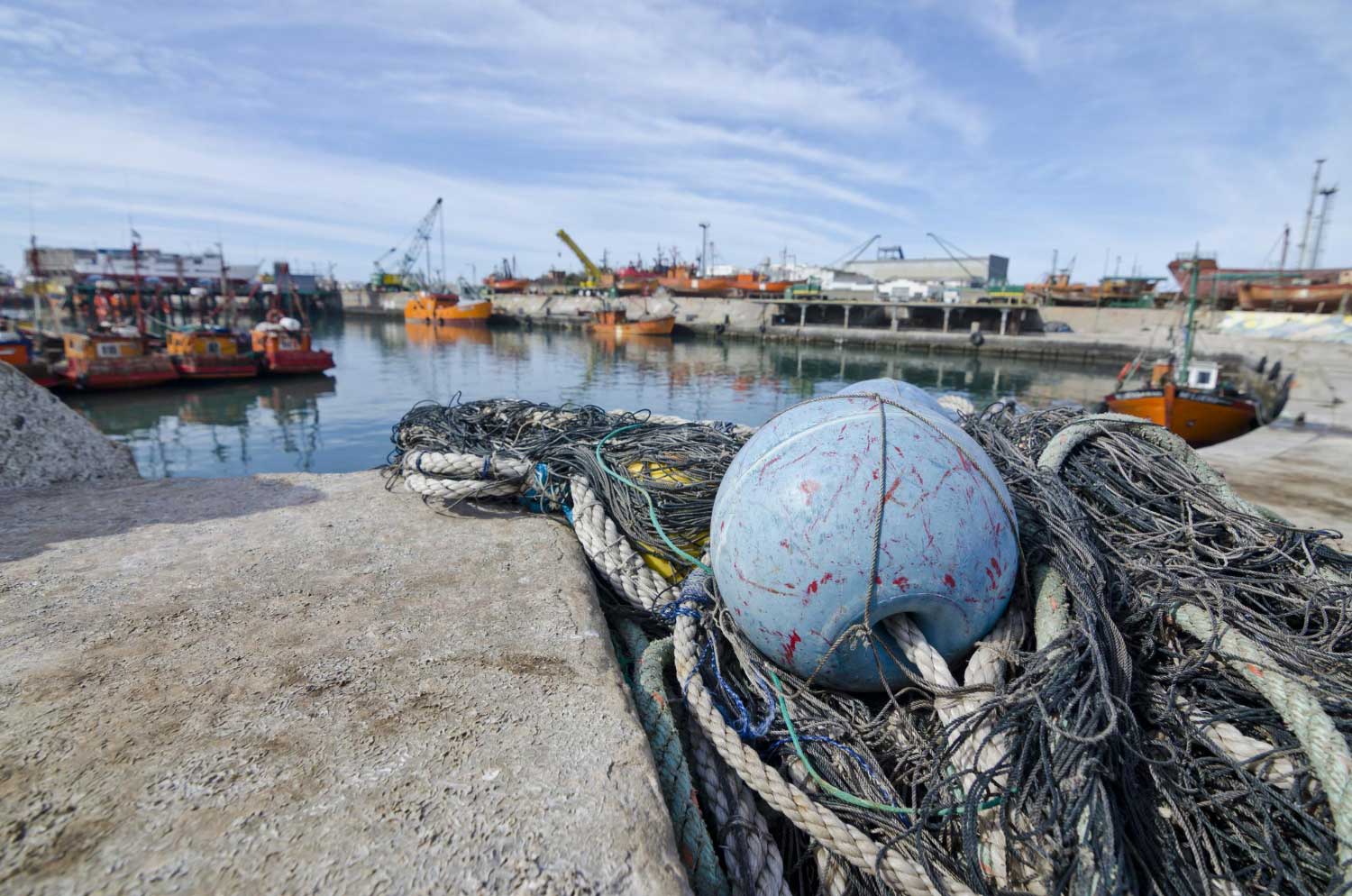 Customer support concept for Omega Shipping Agency answering common shipping and port agency questions